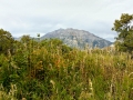 Timp south view-2