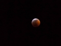 Blood Moon Eclipse (1) Blood Moon Eclipse (1)