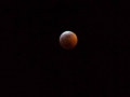 Blood Moon Eclipse-2 (1) Blood Moon Eclipse-2 (1)