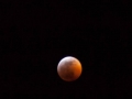 Blood Moon Eclipse (2)