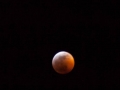 Blood Moon Eclipse (2) Blood Moon Eclipse (2)