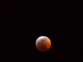 Blood Moon Eclipse (3) Blood Moon Eclipse (3)