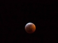 Blood Moon Eclipse (4) Blood Moon Eclipse (4)