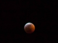 Blood Moon Eclipse (5) Blood Moon Eclipse (5)