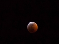 Blood Moon Eclipse (6)