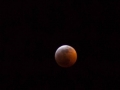 Blood Moon Eclipse (6) Blood Moon Eclipse (6)