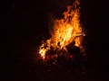 Fire-1