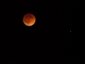 blood moon