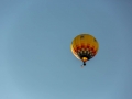 hot air balloons-5