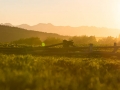 sunset over the wasatch-9