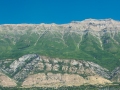 Timp-58