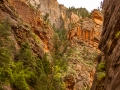 zions narrows-2592