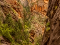 zions narrows-2593