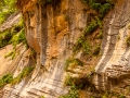 zions narrows-2594