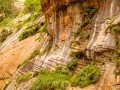 zions narrows-2595