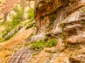 zions narrows-2596