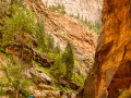 zions narrows-2598