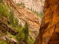 zions narrows-2599