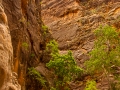 zions narrows-2601