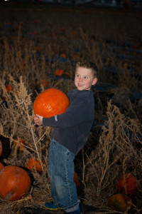 Pumpkins (11)