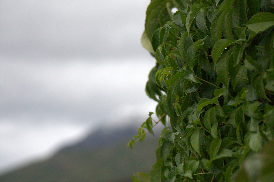 Depth of Field Playing