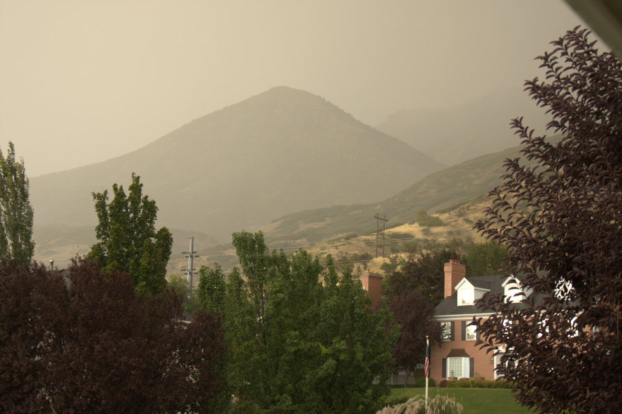 Fog on Baldy