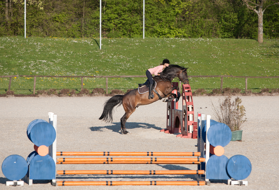 Horse Jumping