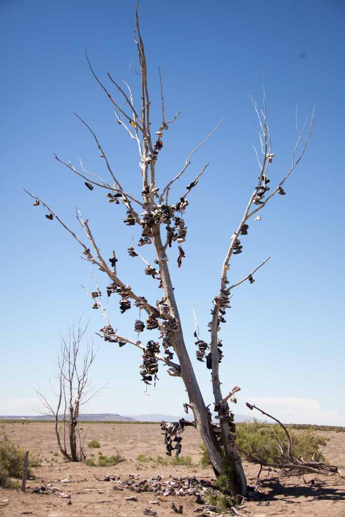 shoe tree-2