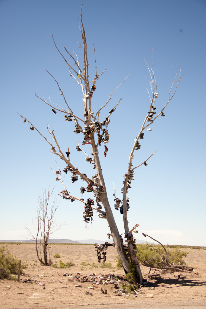 shoe tree-3