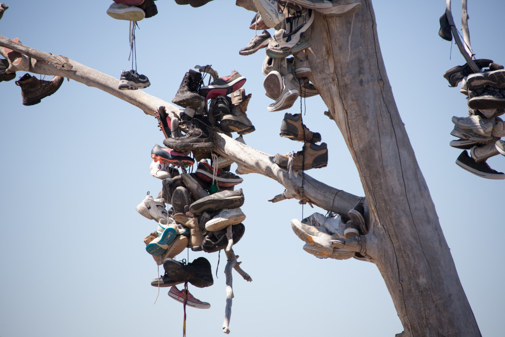 shoe tree-5