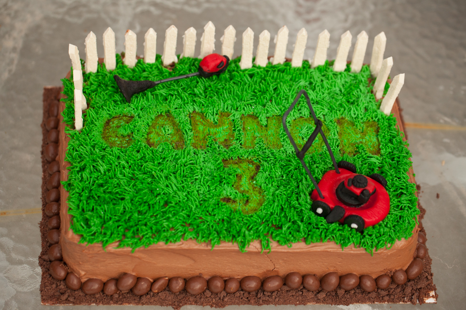 Lawn Mower Cake - Rees Times