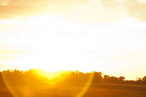 More sunset on the road