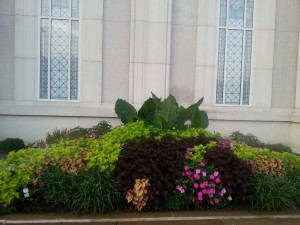 St.Louis temple