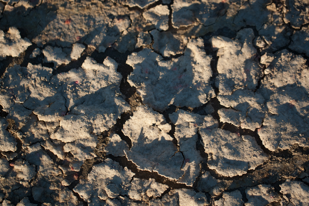 Dry lake bed