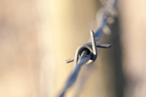 Barbed wire