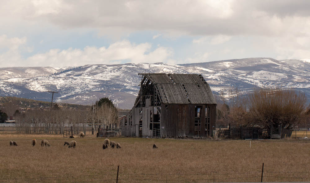 Another old Barn