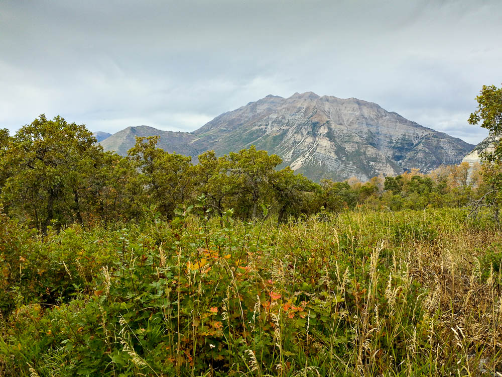 Timp south view-1