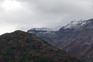 First Snow on Timp