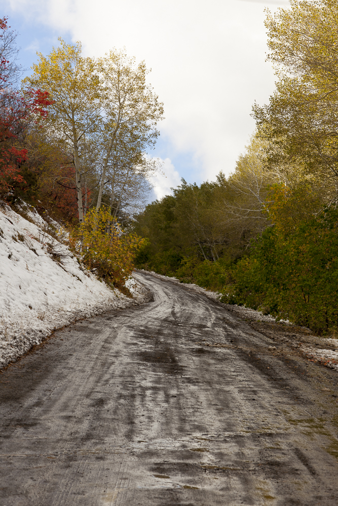 Mountain Road