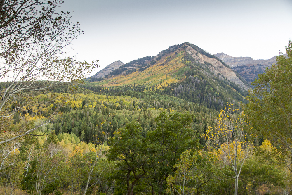 Fall on Timpanogos