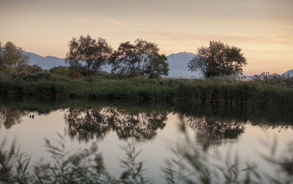 Lake Reflections