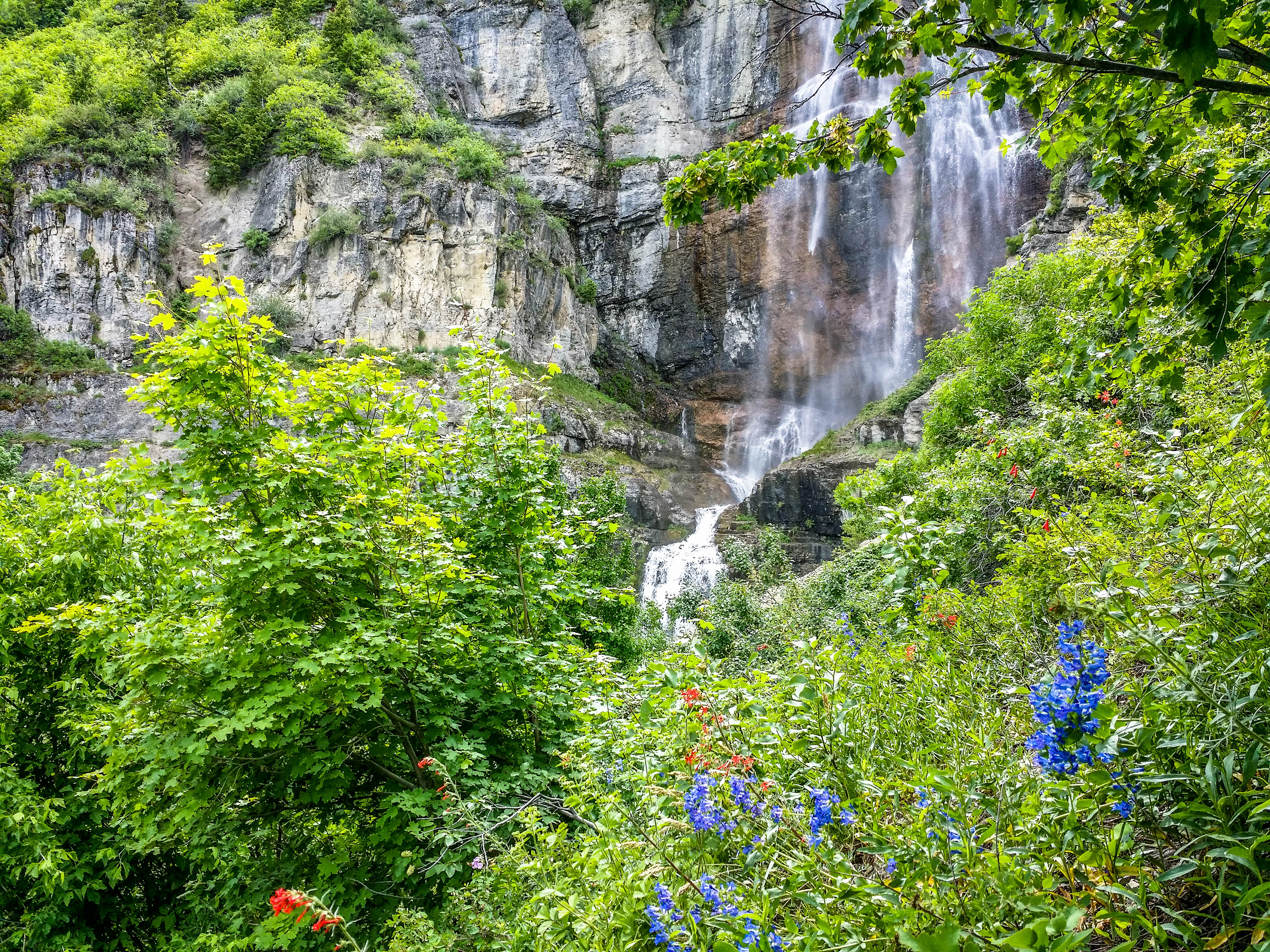 Stewart Falls