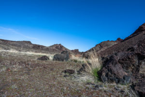 Lava Tubes