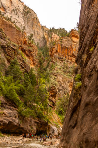 More Zions Narrows