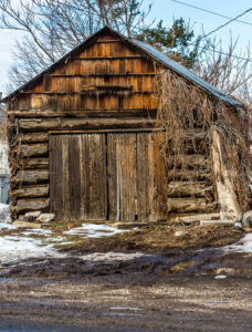 Shed