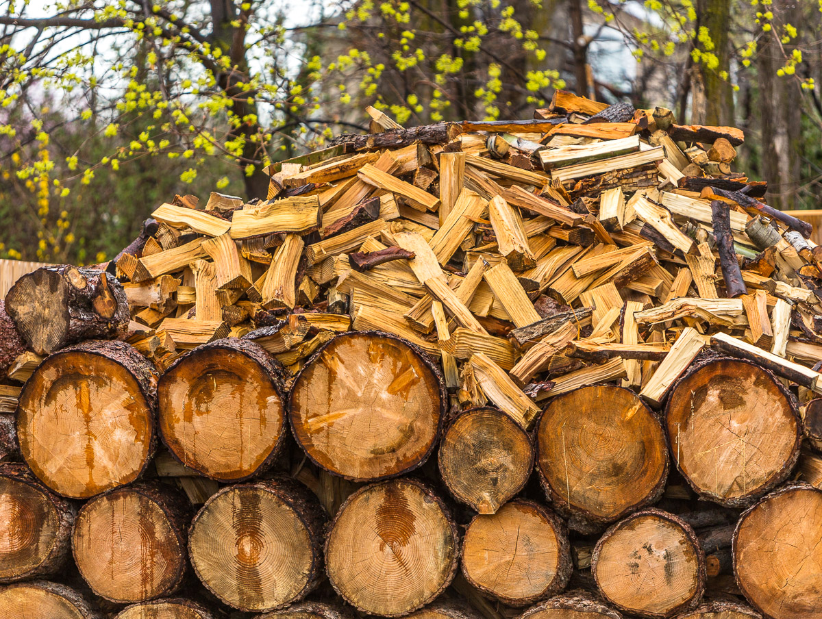 Wood Pile