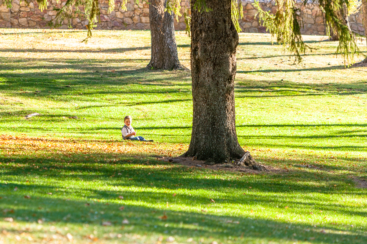 Playing with leaves