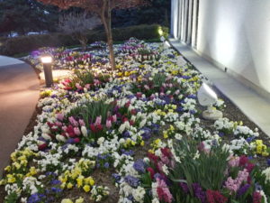 Temple Flowers