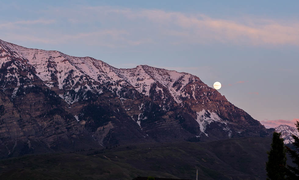 moon-rise-rees-times