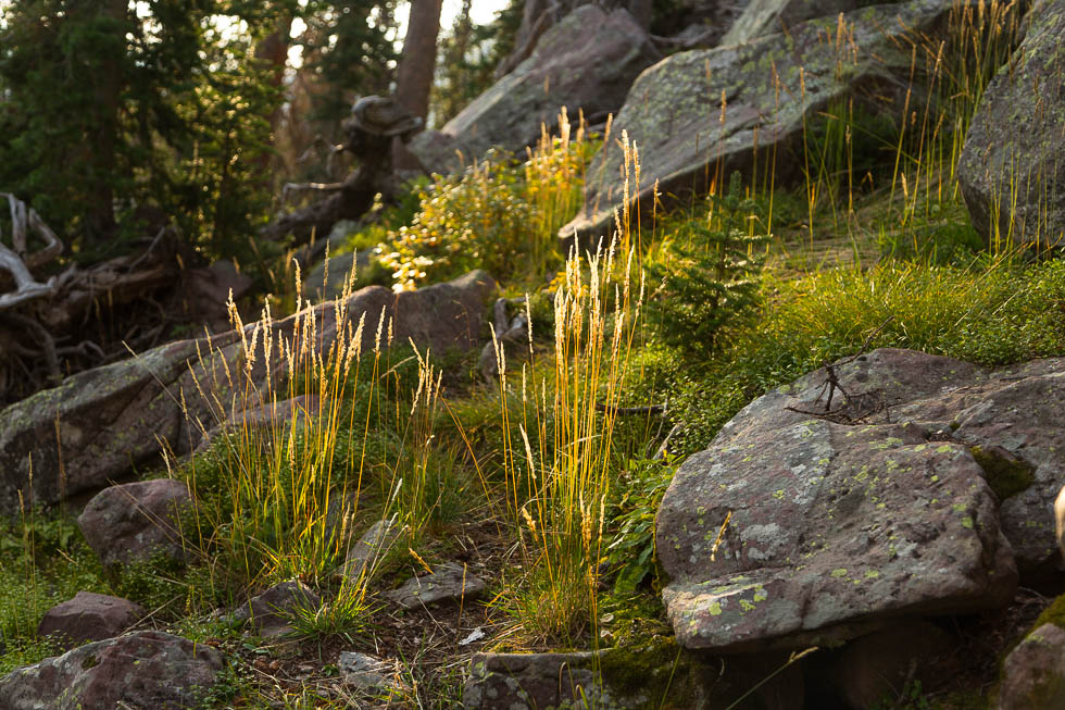 Mountain Sunrise